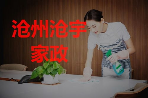 滄州搬家后房屋保潔指南 專(zhuān)業(yè)家政服務(wù)助您輕松安家